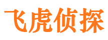 乐清调查事务所